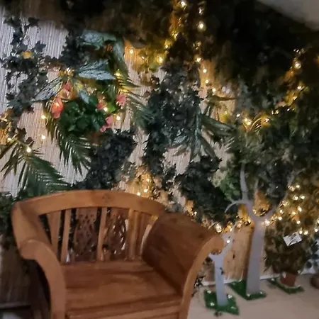 5 Pièces Wifi , Prime Video En Cœur De Forêt